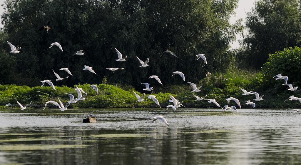 Vila Delta Travel - Mila 23 Mila Douăzeci şi Trei Extérieur photo