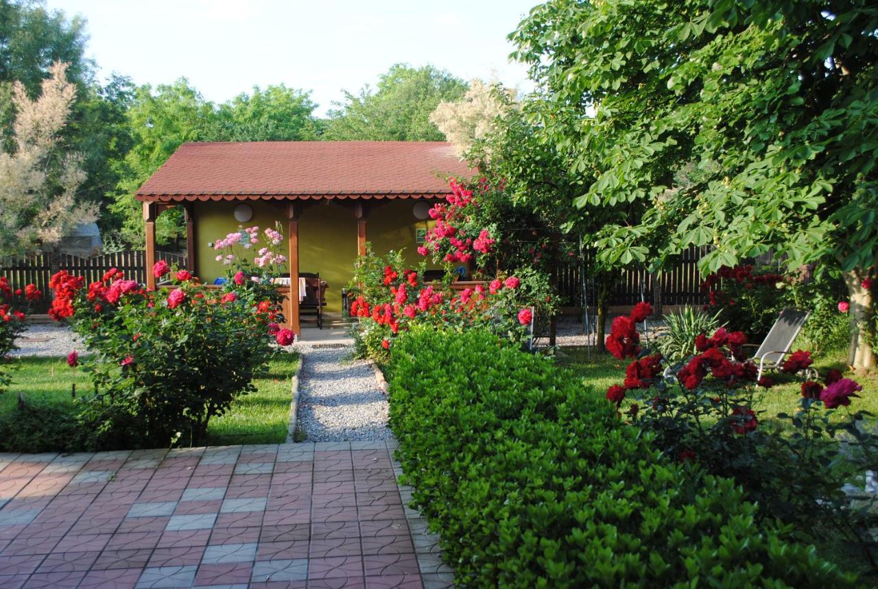 Vila Delta Travel - Mila 23 Mila Douăzeci şi Trei Extérieur photo