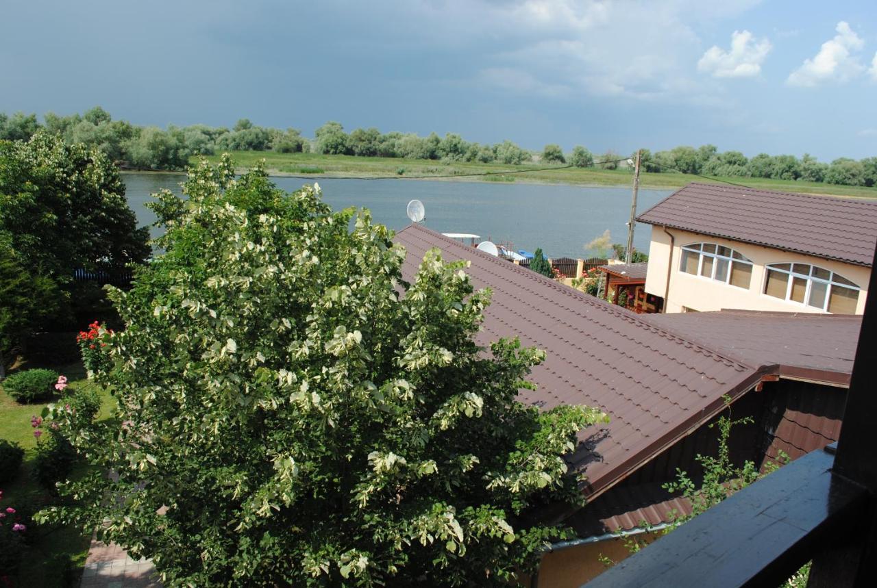Vila Delta Travel - Mila 23 Mila Douăzeci şi Trei Extérieur photo