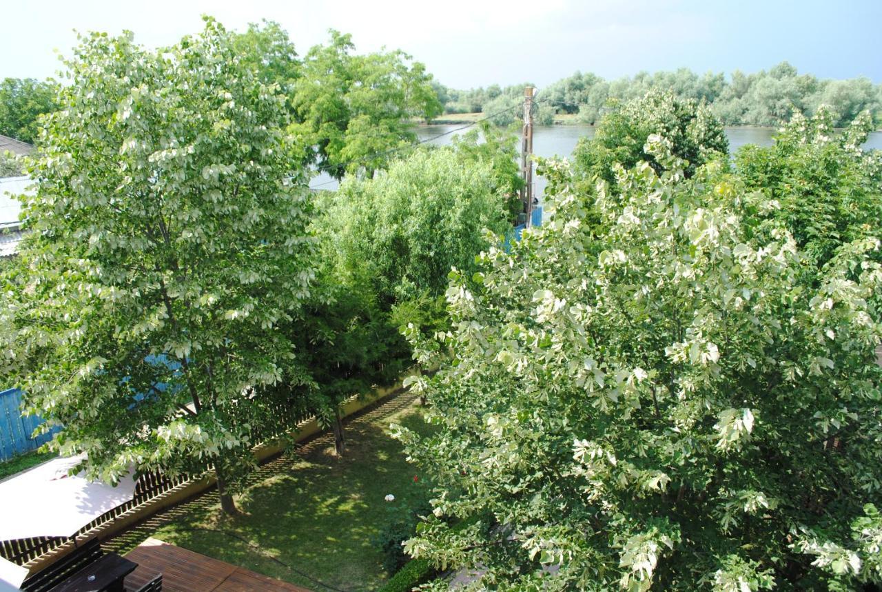 Vila Delta Travel - Mila 23 Mila Douăzeci şi Trei Extérieur photo